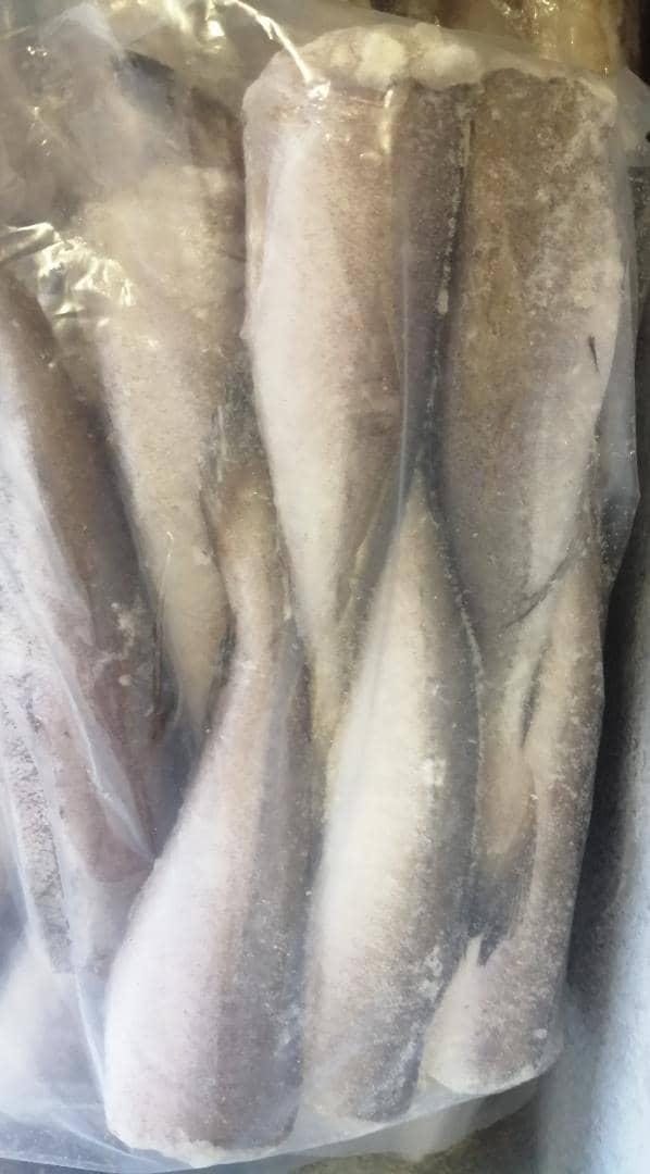 quick_cc's tweet image. BABY HAKES AVAILABLE IN STOCK 
5KG N$200 
WINDHOEK NAMIBIA WE DELIVER ACROSS WINDHOEK 
0814510201 CALL US TODAY