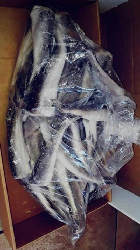 quick_cc's tweet image. BABY HAKES AVAILABLE IN STOCK 
5KG N$200 
WINDHOEK NAMIBIA WE DELIVER ACROSS WINDHOEK 
0814510201 CALL US TODAY