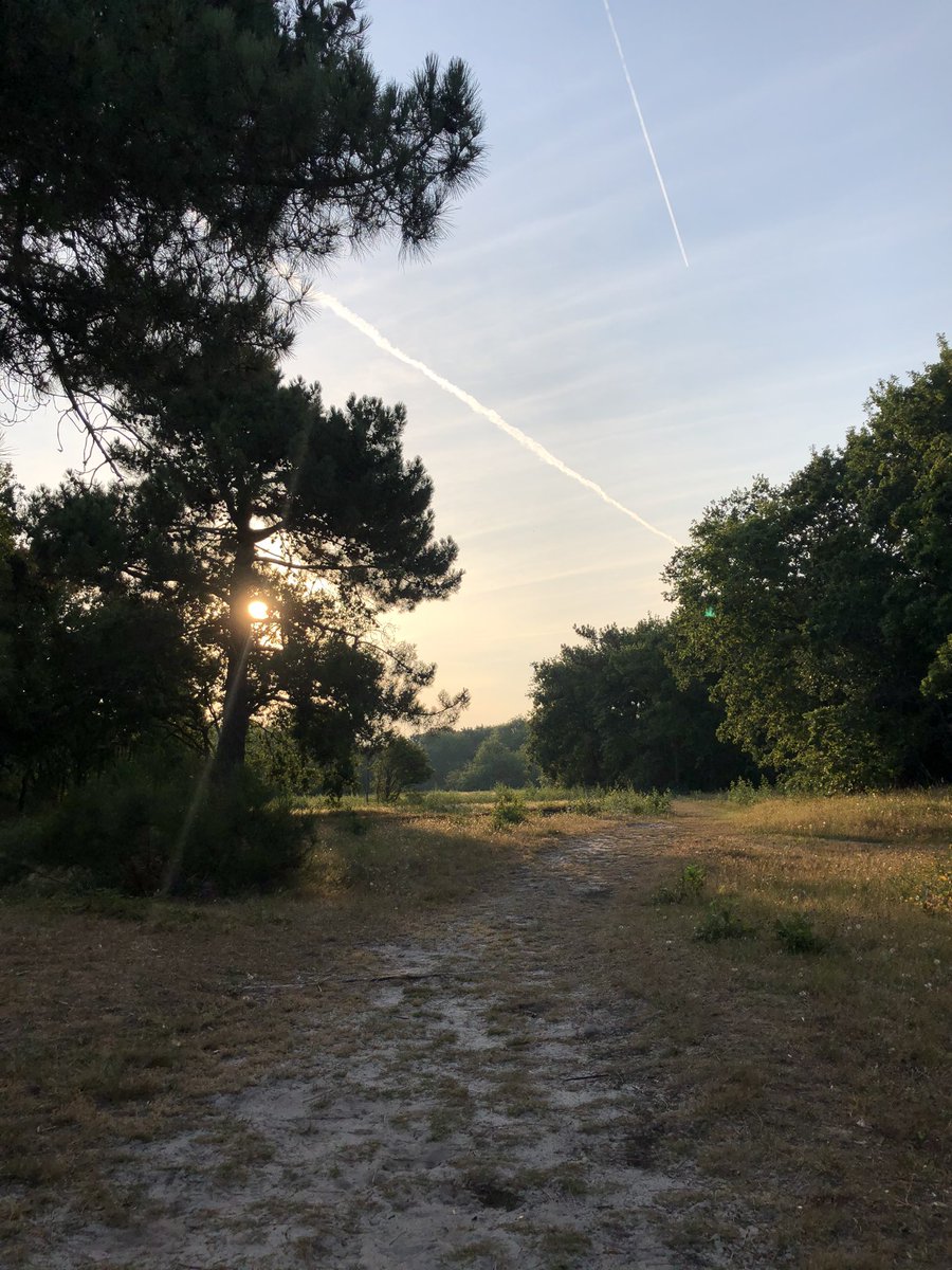 krooshapper's tweet image. Goedemorgen #nederland even stappen zetten voor het weer te warm is. #warmweer #plaknacht #ouddorp #goedemorgen @weeronline @gem_go @OuddorpaanZee