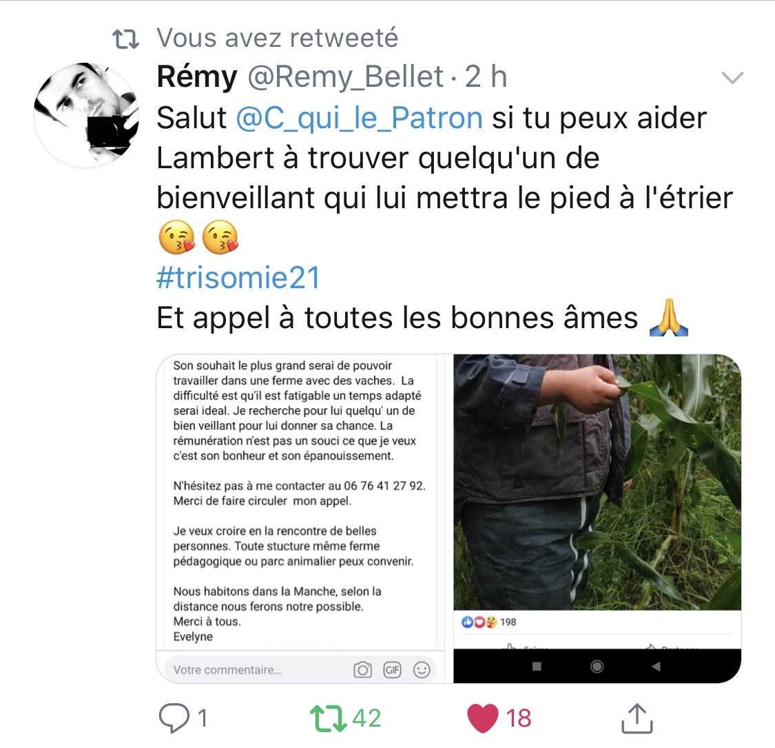 C_qui_le_Patron's tweet photo. Un petit relais svp pour Lambert 🙏 Il rêve de travailler avec des vaches et on va tout faire pour l’aider ☀️🙌 Il est dans la Manche mais il est prêt à se déplacer. Il est motivé comme personne et la rémunération a peu d’importance. Merci infiniment pour vos relais ✌️✊🏻🙏 🐮 😊 https://t.co/YVi3TigfS2