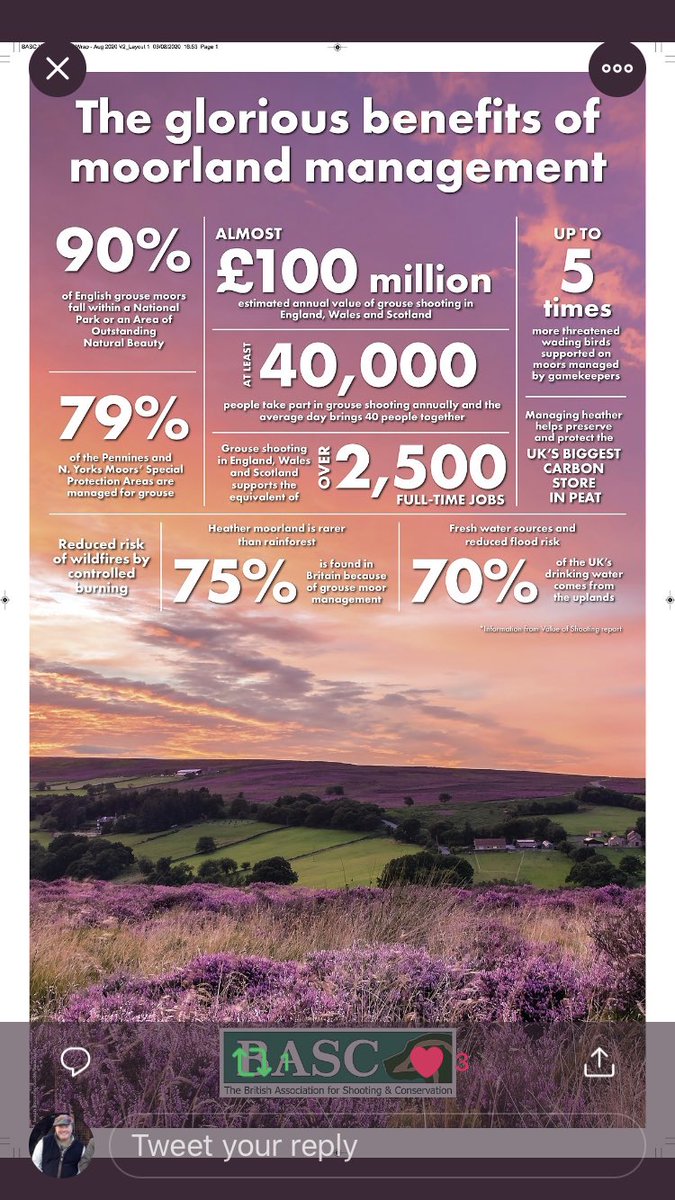 Absolutely superb coverage in Yorkshire Post this morning, front page, back page and two in between! Quality effort from <a href="/BASCnews/">BASC</a> <a href="/gareth_dockerty/">Gareth Dockerty</a> and many more. Well chuffed. D #grouse #glorious12th