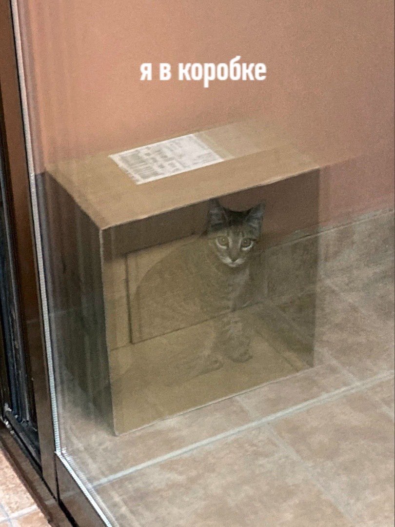 ВЗРОСЛЫЙ КОНТЕНТ tweet media
