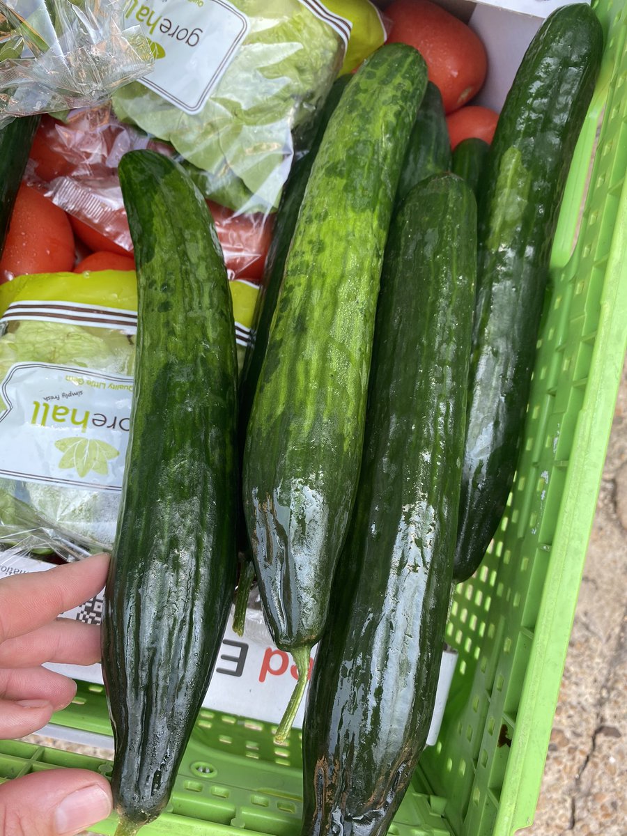 Paul Welburn tweet media