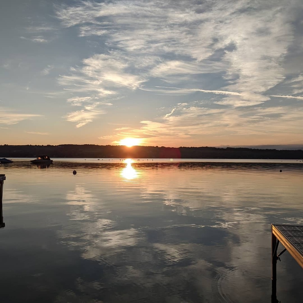 systemofdoom's tweet photo. Morning coffee views. #nofilter #geeses #sillygooses #goosehole #clapsaddle @thereal_cheryl https://t.co/iRPkv2wp9w https://t.co/2DCUgsY2uB