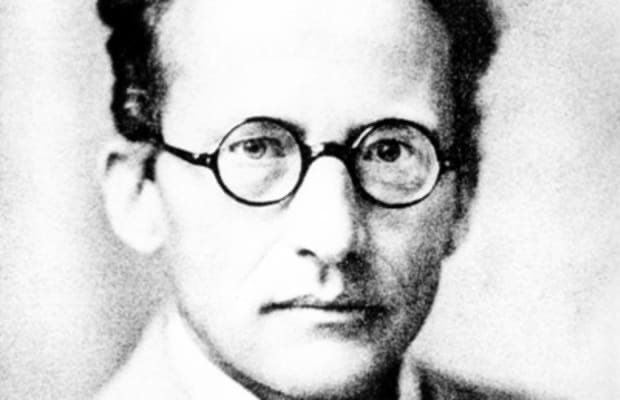 "The material world has only been constructed at the price of taking the self, that is, mind, out of it, removing it; mind is not part of it..."     ~ Erwin Schrodinger