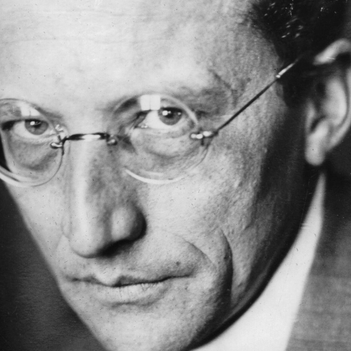 "Consciousness is a singular for which there is no plural."     ~ Erwin Schrodinger