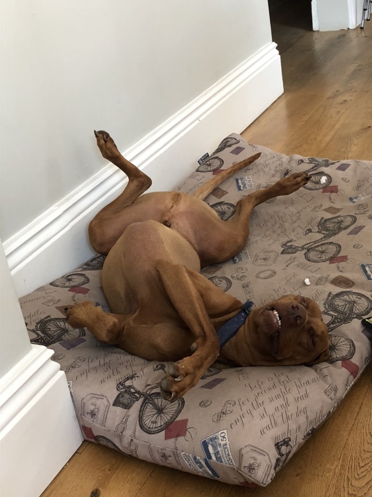 Definitely too hot! <a href="/SuziLDavis/">Suzi Woolfson</a> <a href="/jon_p_terry/">Jon Terry</a> <a href="/SHatcherLegal/">Stuart Hatcher</a> <a href="/RobMcCargow/">@robmccargow.bluesky.social</a> <a href="/NicArnold5/">NicArnold</a> <a href="/StirzakerR/">Clare Stirzaker</a> <a href="/cscth/">caro turnbull-hall 🇺🇦</a> <a href="/MaMaDolson/">Mama Doughson</a>