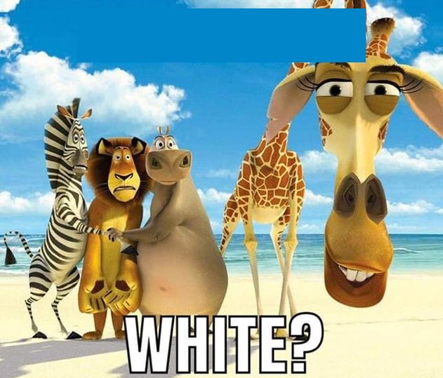 emerens (@miqote_txt) on Twitter photo 