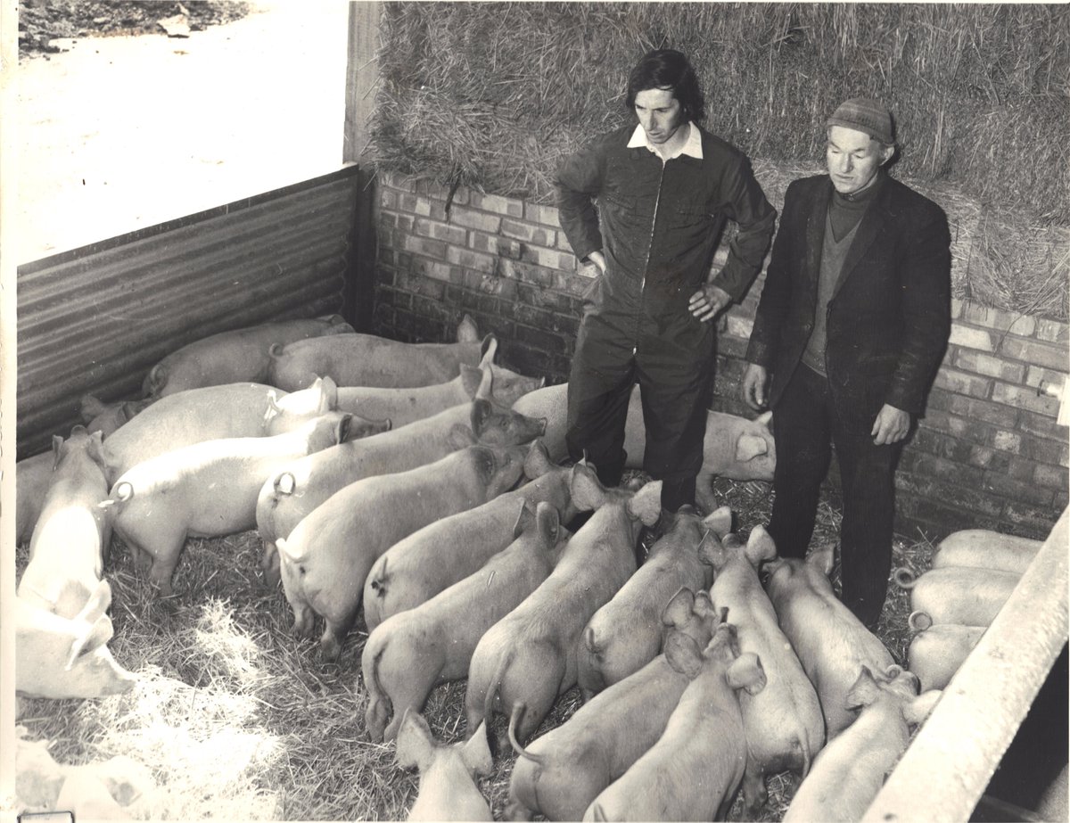 12/15. As an aside, the Europeans think we Brits are mad Monty Python eccentrics because we have an outdoor sector and also because we use straw. These are historical and climactic but form our market USP. Here is my dad observing his lovely straw (I def inherited the pose)