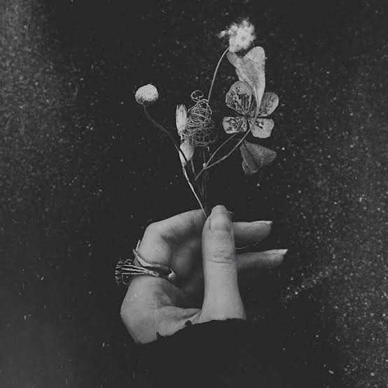 ⤹⋆⸙͎۪۫｡˚˚⁀➷Two tangent lines accidentally cross their path in a short period of time. 。o○☆❝Give me a month to convince you that your life is worth living ❞ ───── ❝𝖕𝖆𝖗𝖆𝖑𝖑𝖊𝖑 𝖑𝖎𝖓𝖊𝖘❞ ─────  #SKZauFestCHALLENGE