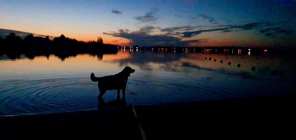 Meerstad's tweet photo. #meerstad #mooigrunnen #mooigroningen https://t.co/WGRWxyk3GQ