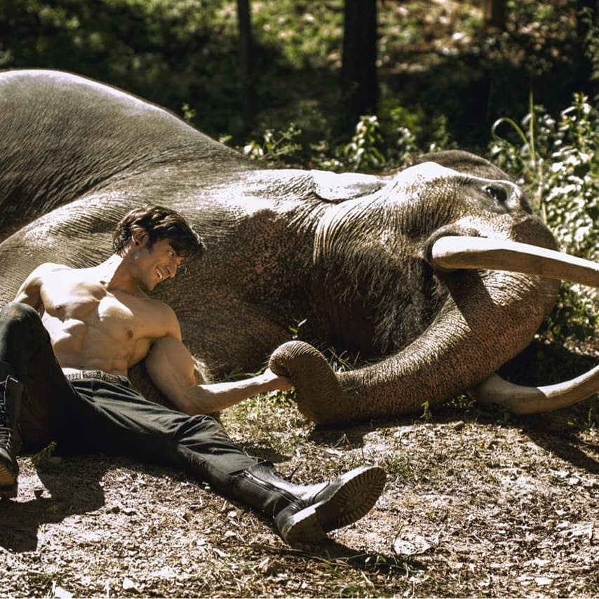 HydTimes's tweet photo. #WorldElephantDay: The special bond between @VidyutJammwal and Bhola during the shooting of #Junglee
#magnificentcreatures #saynotoivory #SaveElephants https://t.co/jHg7ixkiBB