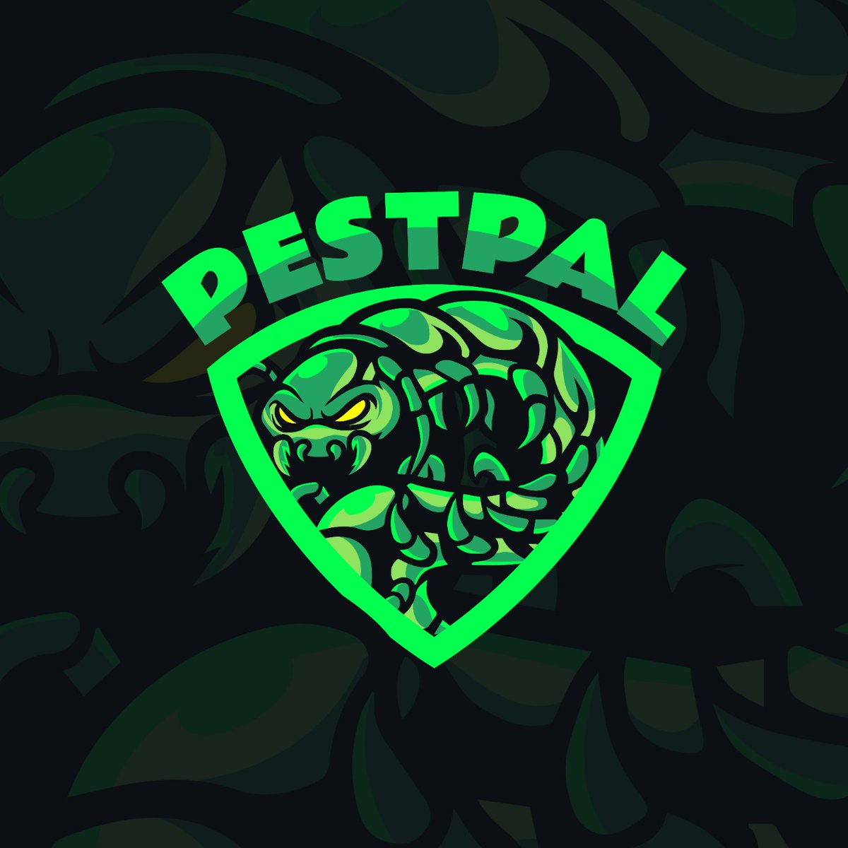 SmithArianas's tweet photo. CHECK THIS #snakelogo ๐๐๐๐๐๐๐๐ ๐๐ ๐๐๐
Do you want #customlogo?
DM me๐ฃ๏ธ
#professionallogo #snakeshieldlogo #esportlogo #Logodesigner #GraphicDesign #Trending #brandidentity #illustrations #SupportSmallStreams #twitch #SmallStreamerCommunity @SmallStreamersR #design https://t.co/SWyPq01S8f