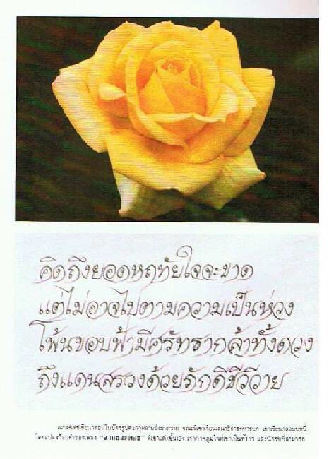 JohnnyEnjoy's tweet photo. อ่ะไหนลองใช้ความรู้ภาษาไทยมัธยมถอดความบทกลอน

1-คิดถึงเธอมาก จนจะขาดใจแล้ว
2-แต่ก็ไม่สามรถไปอยู่กับเธอได้ อย่างใจอยาก
3-เพราะตรงนั้นมีใครอีกคนที่ยิ่งใหญ่อยู่เคียงข้างเธอแล้ว
4-แต่ถึงยังไงฉันก็จะยังรักเธอ แม้แลกด้วยชีวิต

กูก็มโนไปเองอ่ะนะ55555  มั่วๆเอา
#คิดถึงยอดหฤทัยใจจะขาด https://t.co/p9RDPUjBQj