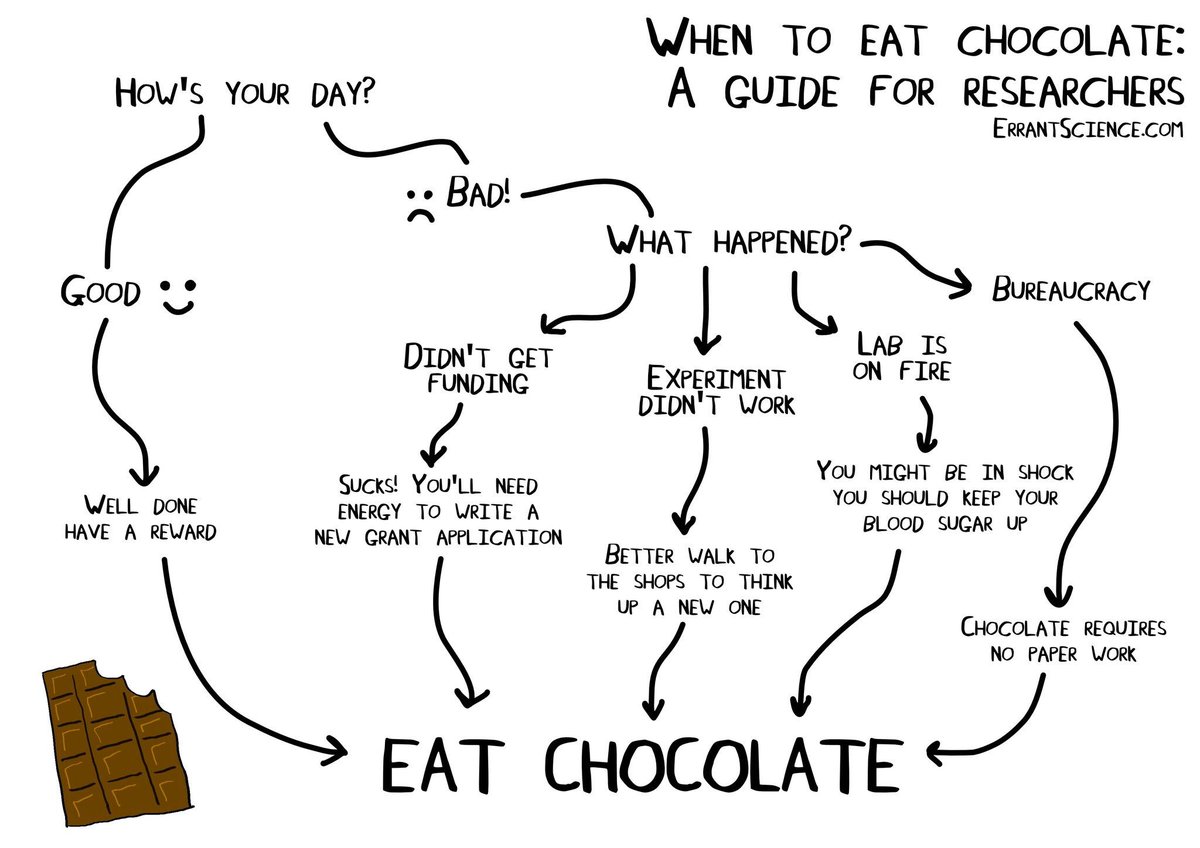 Dr Christelle Auguste (@christelle_tas) on Twitter photo Existential question... When to eat chocolate? Here is a guide for researchers... #procrastination #phdlife <a href="/AcademicChatter/">Academic Chatter™</a> #phdchat #AcademicTwitter Existential question... When to eat chocolate? Here is a guide for researchers... #procrastination #phdlife <a href="/AcademicChatter/">Academic Chatter™</a> #phdchat #AcademicTwitter