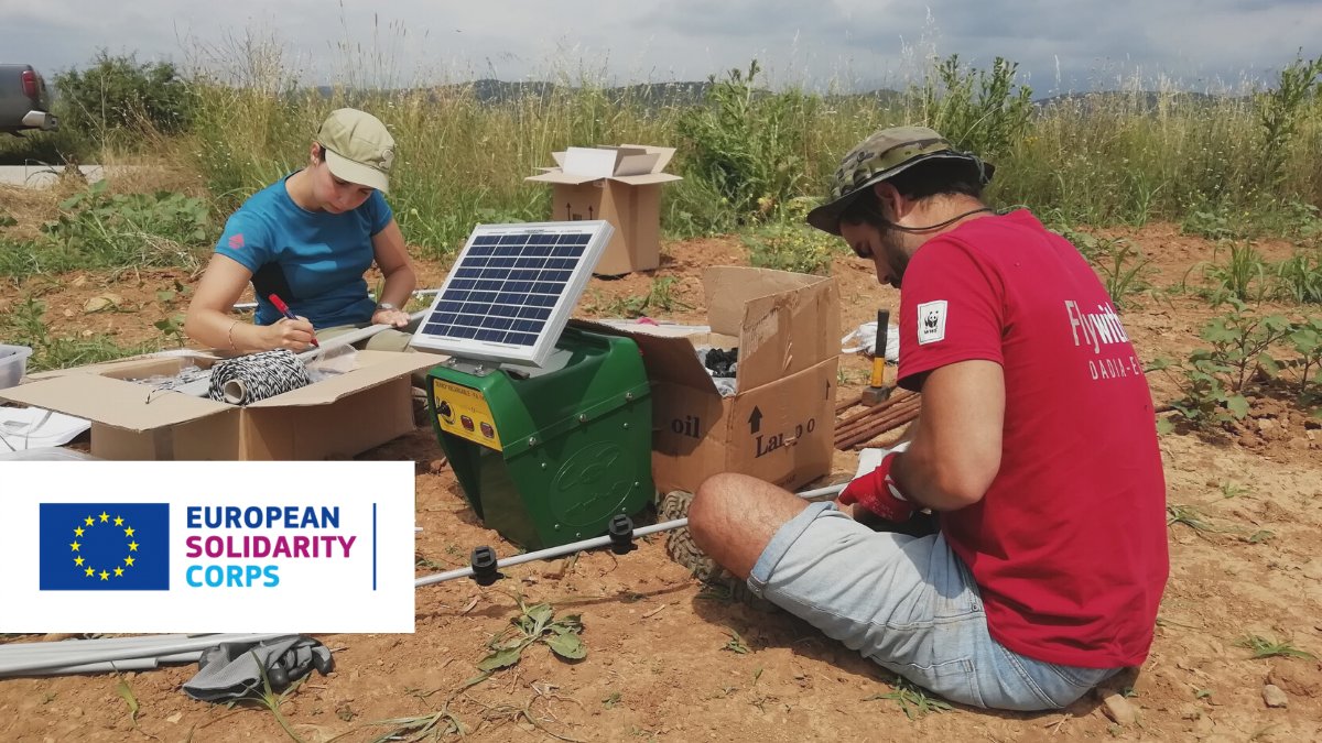 This #InternationalYouthDay, we celebrate young peoples’ engagement on global issues.

Helena, a young 🇵🇹#volunteer, travelled to 🇬🇷 to help a vulture species survive. In a blog, she writes about her experience of volunteering for LIFE: europa.eu/!Df36fg

#EUSolidarityCorps