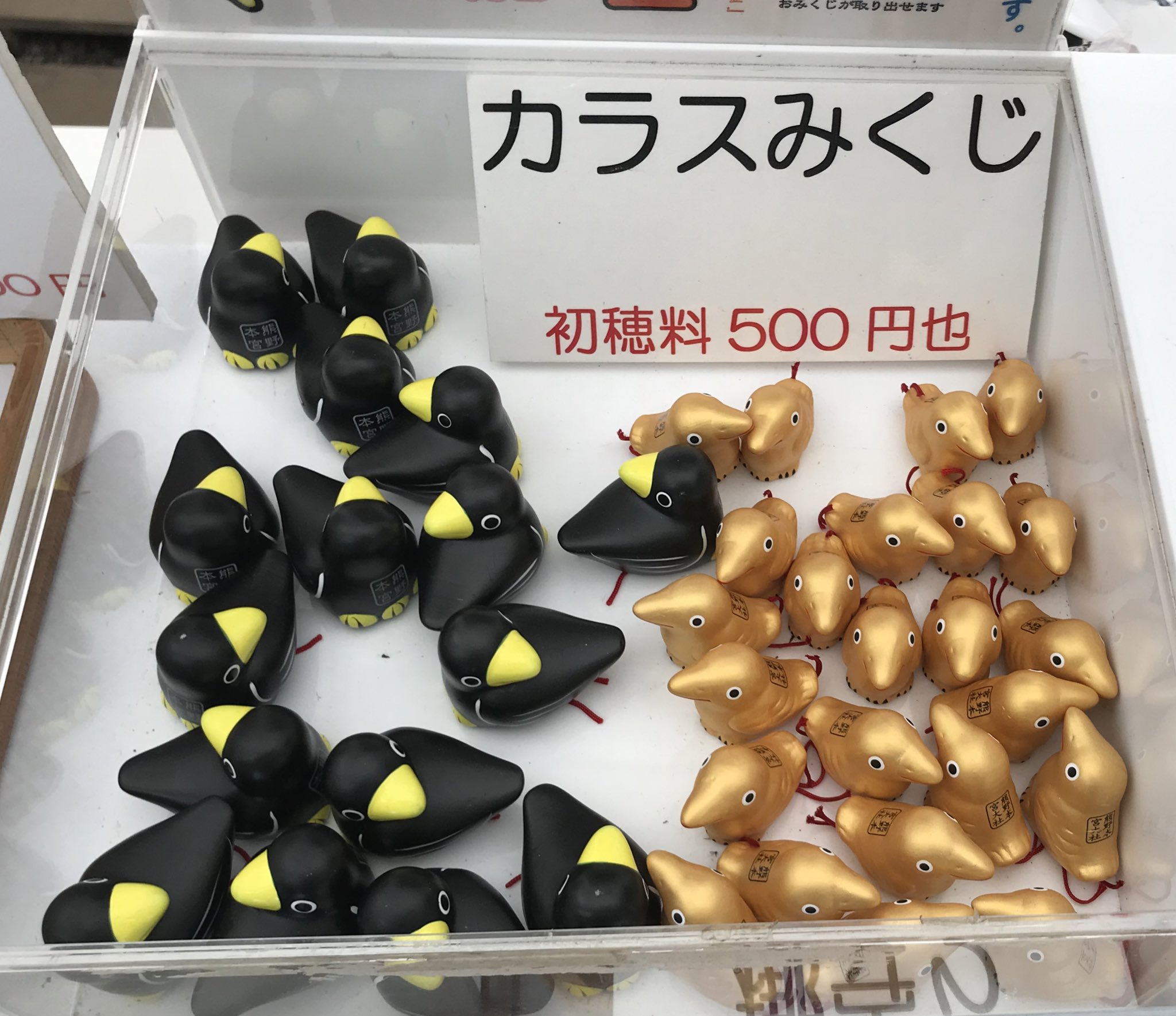 金運爆上げ 希少！熊野大社 祈祷済み 光により七色に変幻八咫烏 熊野