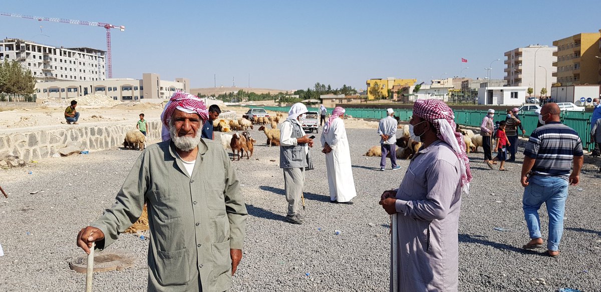 Yday in Ceylanpınar, on the other side of the Syrian town Ra's al-Ayn/Sere Kaniye, I bumped into 6 Arab tribal men from Hasaka and Deir al-Zour.They were all members of the al-Bagaara tribe. I asked them why they fled. "We fled from the Assad regime, from ISIS, from the PKK"