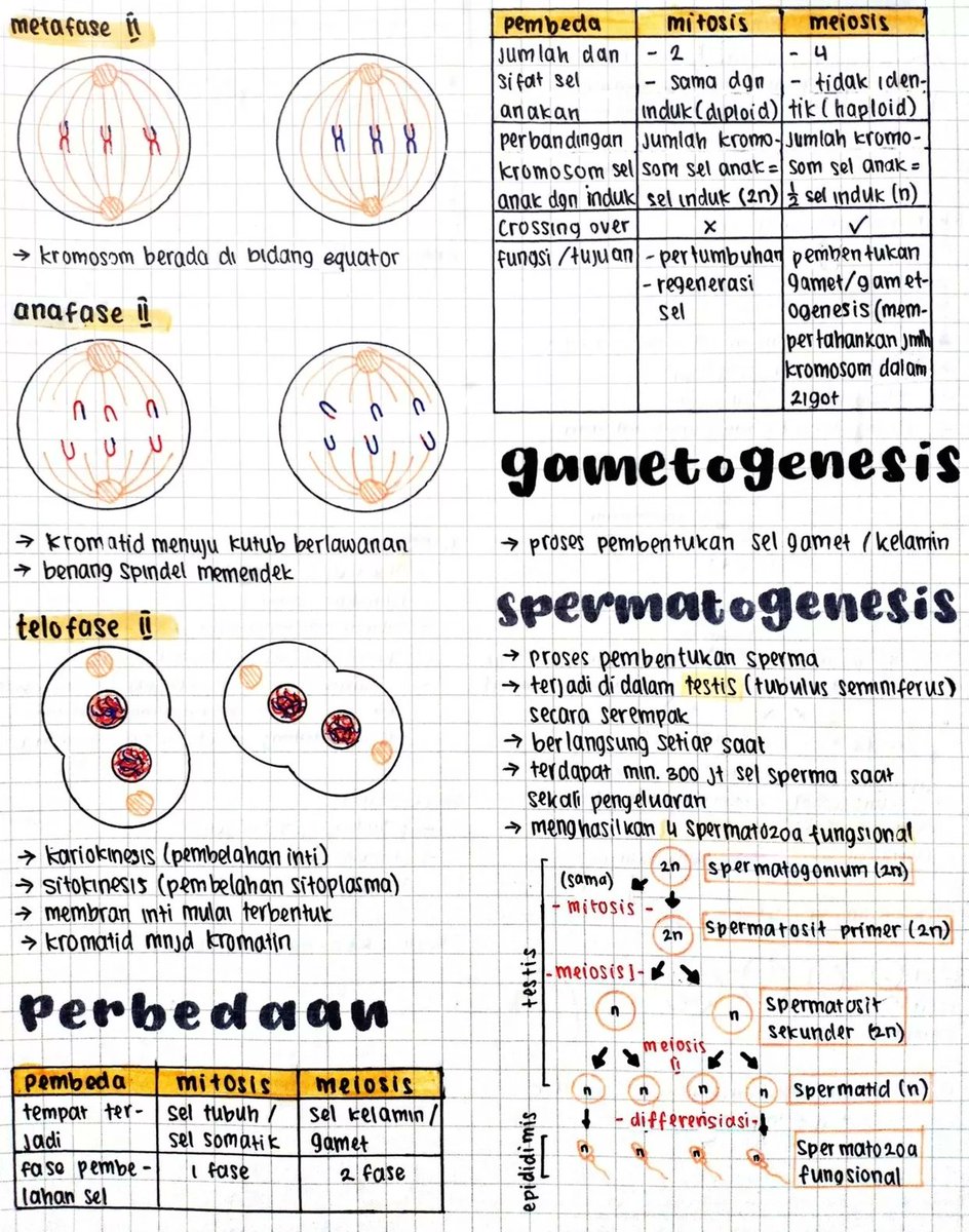 clearnote_id's tweet photo. 📒 Sistem reproduksi manusia, biologi kelas 9 📒

Terdiri dari 9 halaman yg bakal menjelaskan pembelahan sel, organ reproduksi, hingga penyakit 👇👇👇 https://t.co/sbOmsrjryv