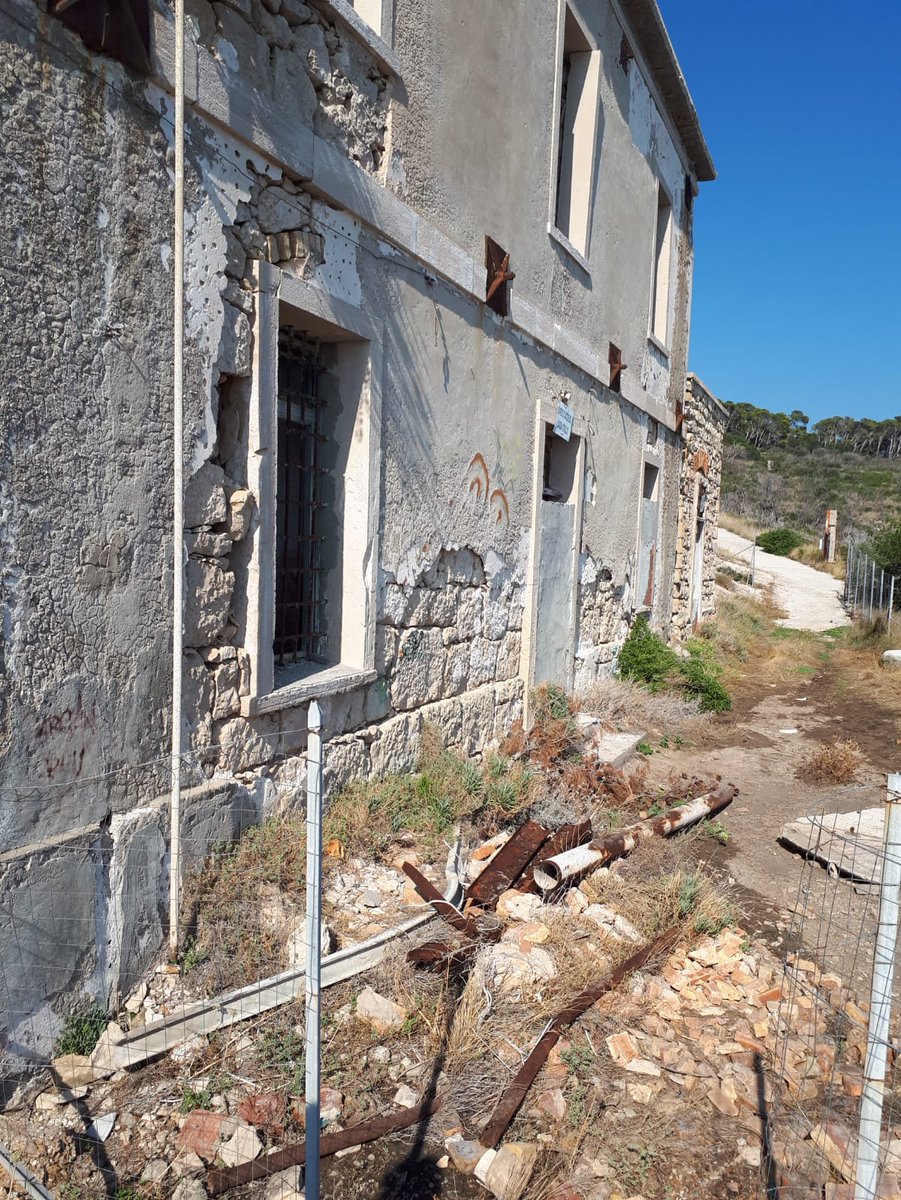 Tornata da meravigliose #Tremiti, uno dei mari piú belli al mondo. Ho fatto qualche km a piedi tra i sentieri per vedere il #faro. Ecco cosa ho trovato in un posto di una bellezza struggente. Perché? <a href="/RegionePuglia/">RegionePuglia</a> <a href="/TremitiIsole/">Riserva Marina Isole Tremiti</a> <a href="/micheleemiliano/">Michele Emiliano</a> <a href="/dariofrance/">Dario Franceschini</a>