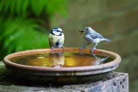 PsyXpert's tweet photo. 'Wanneer het erop aankomt -
Motiverende gespreksvoering bij suïcidaal gedrag' - eLearning (1 PE punt) van @TeijeKoopmans en Wilco Jansen van @113preventie - lees hier de uitgebreide samenvatting: https://t.co/4mDDbY9qQk #suicide_is_preventable https://t.co/EcLsQajlxT