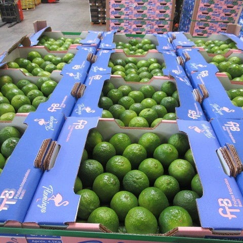 masterfreshuk's tweet photo. Today limes and pomegranates 

#grocerystore #vegetables #fruit #greengrocer #wholesale
#freshproduce #foodie #farmersmarket #fresh #foodservice #shoplocal #seasonalproduce #vegan #food #market #localproduce #marketfresh #healthyfood #eatlocal #cheflife #healthy #fruit #organic https://t.co/0wtr4fRCO4