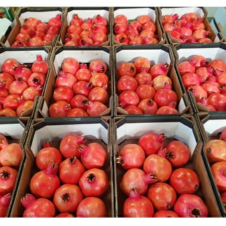 masterfreshuk's tweet photo. Today limes and pomegranates 

#grocerystore #vegetables #fruit #greengrocer #wholesale
#freshproduce #foodie #farmersmarket #fresh #foodservice #shoplocal #seasonalproduce #vegan #food #market #localproduce #marketfresh #healthyfood #eatlocal #cheflife #healthy #fruit #organic https://t.co/0wtr4fRCO4