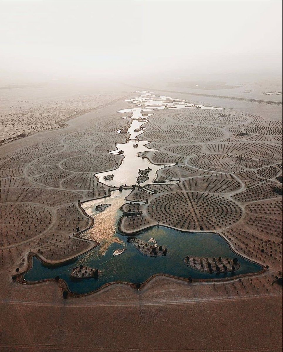 Enjoy a quiet ambiance and experience the wildlife with your loved ones the next time you book a trip to #alqudralake  Dubai  
 
Tag a friend who you would love to enjoy Al Qudra lake with. 
Follow @Orienttoursdubai  
DM FOR DETAILS 
#sharjah  #explore  #exploremore  #wanderlust