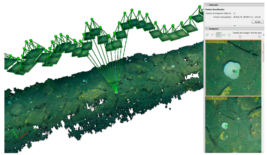 Our new paper has been published in Remote Sensing. 3D Fine-scale Terrain Variables from Underwater Photogrammetry: A New Approach to Benthic Microhabitat Modeling in a Circalittoral Rocky Shelf. @LifeIntemares #ECOMARG
mdpi.com/2072-4292/12/1…