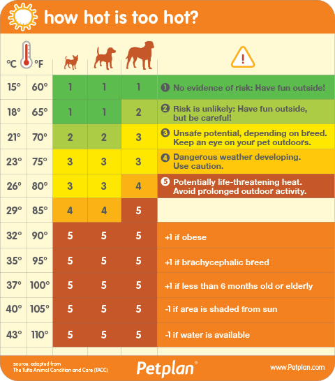 adurandworthing's tweet image. “When it has been so hot, I still see dogs being paraded around the streets and in town.”

Back on the blog, #Adur and #Worthing Dog Warden Russ warns of the dangers of exercising dogs in the heat. Click the link to read his blog: 👇

adur-worthing.gov.uk/our-stories-yo…