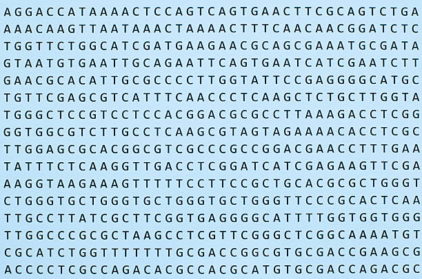 I hope the ones reading this are aware of the structure of DNA and how mutations are basically copying errors, duplications or insertions that change the text of the genome which will look something like this. Let's take a look at the chances of a random mutation giving results.