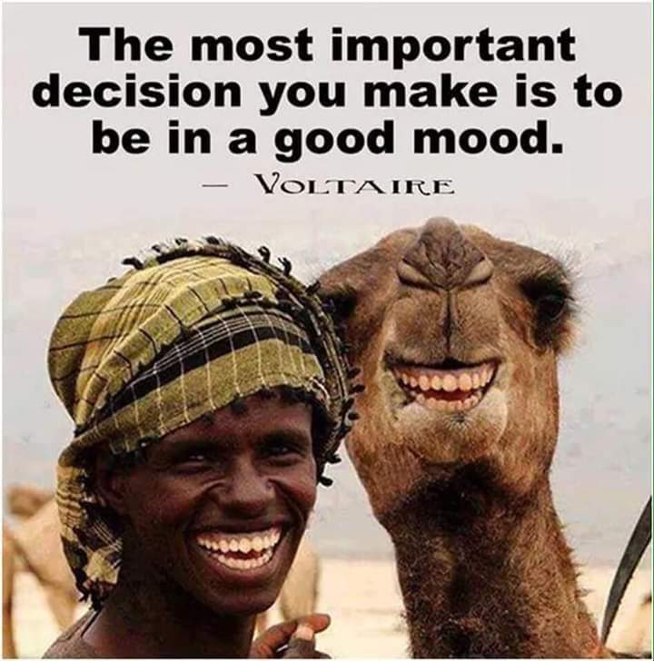 RoseleeBates2's tweet photo. @Katy_potatie Keep smiling.....I have my 90 year old controlfreek mother living with me.....I sympathize!! https://t.co/JFNU7Xfbx2