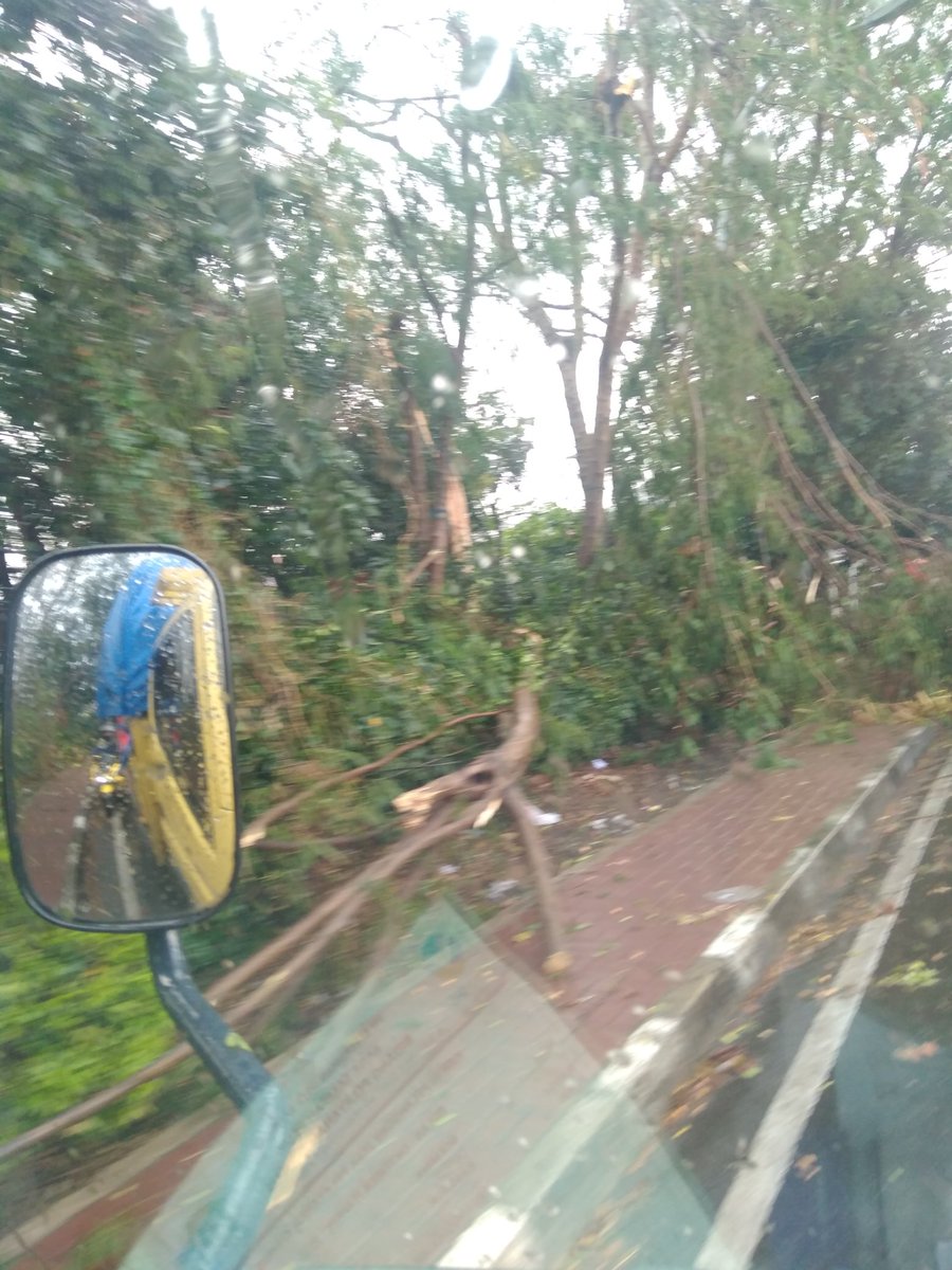 mamethdeathcore's tweet photo. @PRFMnews wilayah gunung batu, arah rancabali pohon patah menimpa kabel kabel https://t.co/22KM6x3pVl