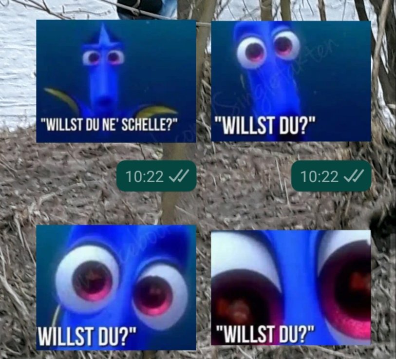 EfNN8gDWkAESFO2