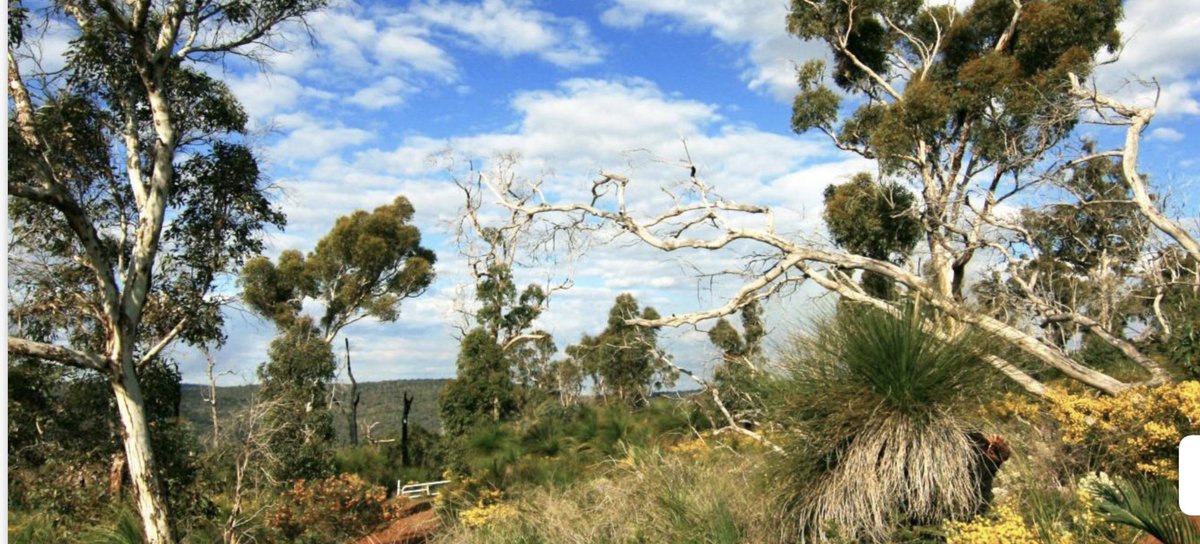 psy_resilience's tweet photo. Do you live in a rural or semi-rural area in Australia? We’d love to hear your thoughts on bushfire risk and preparedness. 
Please click here to participate in a 15 minute survey: https://t.co/yRYrk27dBf https://t.co/WiEwHugzNi