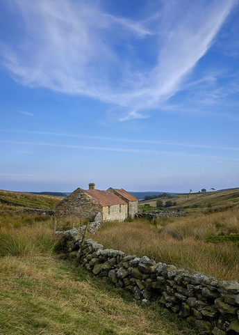 ourrosedale's tweet photo. The good weather continues... https://t.co/sx15MGWp8x