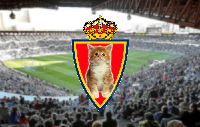 ayoseiturralde's tweet photo. Werner no jugará la champions LA PUTA CHAMPIONS porque ya es del Chelsea

No veo a nadie llorar porque la competición está podrida o adulterada

Que fácil es decir en Zgz eso de #quesubaeltercero cuando el tercero tiene nombre y apellidos, deben ser durísimos 7 años en segunda... https://t.co/Rm1995CJGH