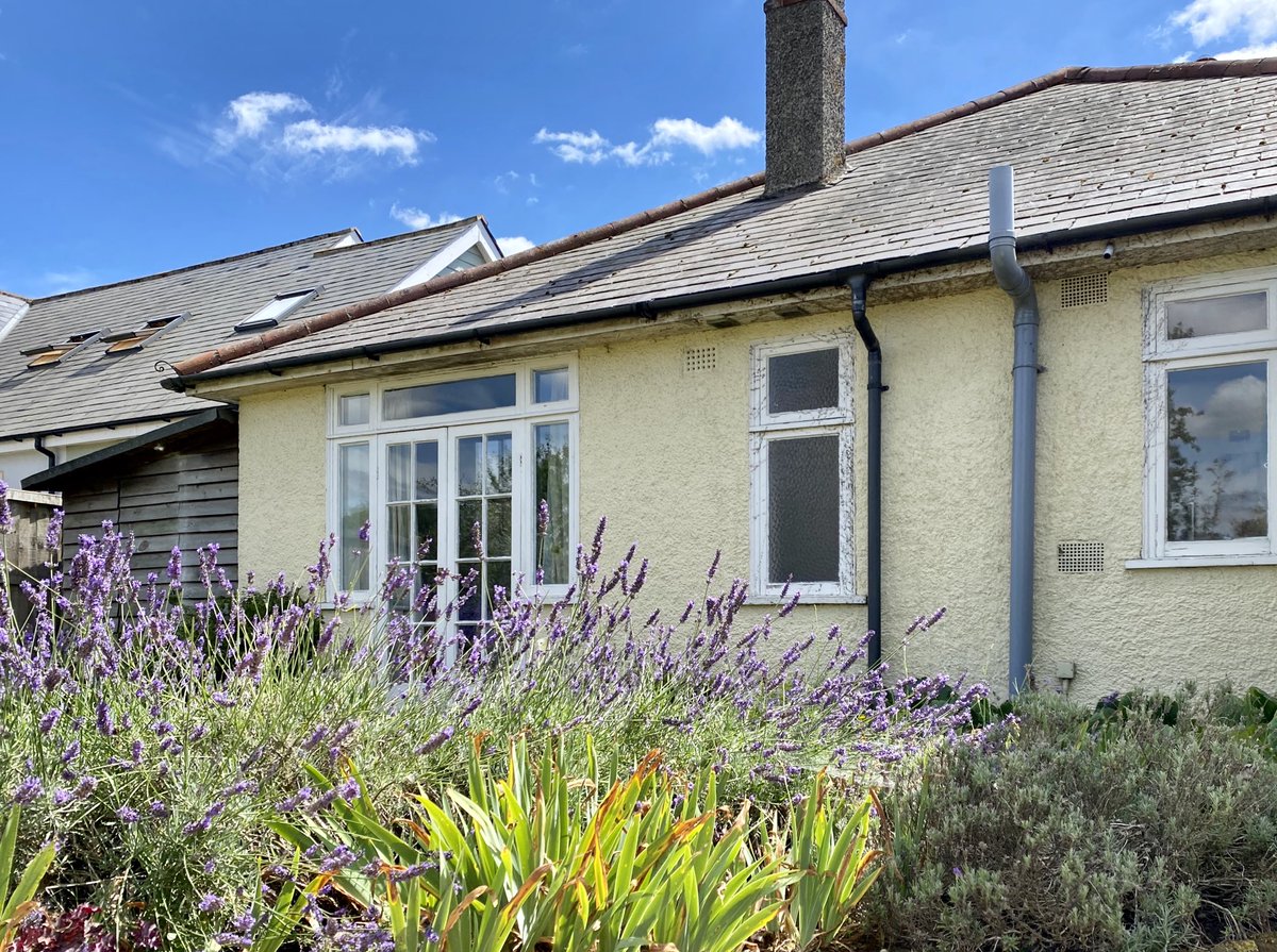 Izzy Ixer tweet media