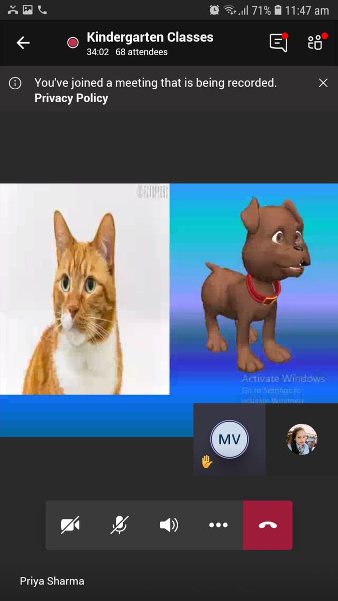 One more wonderful Day in  Remote learning Session. Ss of grade UKG learnt about animals nd their body parts# They enjoyed a lot # 🥰🥰🥰.<a href="/pkdhillon08/">ParamjeetKaurDhillon</a> <a href="/harpreetmehta23/">Harpreet Mehta</a> <a href="/RiseUp4SDGs/">SDG's : The Rising</a> <a href="/vijoylaxmi1/">Vijoylaxmi</a> <a href="/priya22569691/">priya</a> <a href="/NidhiTh43971395/">Nidhi Thakur</a> <a href="/SeemaDutt9/">Seema Dutt</a>