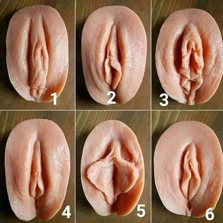 openrelation2's tweet photo. Your wife pussy looks like https://t.co/KyOAkGcikj