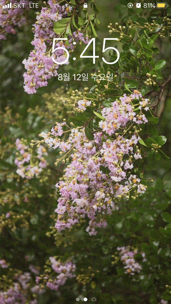 nifos_news's tweet photo. 🖼배경화면 시간

배롱나무 02 https://t.co/D4A31ONwhO