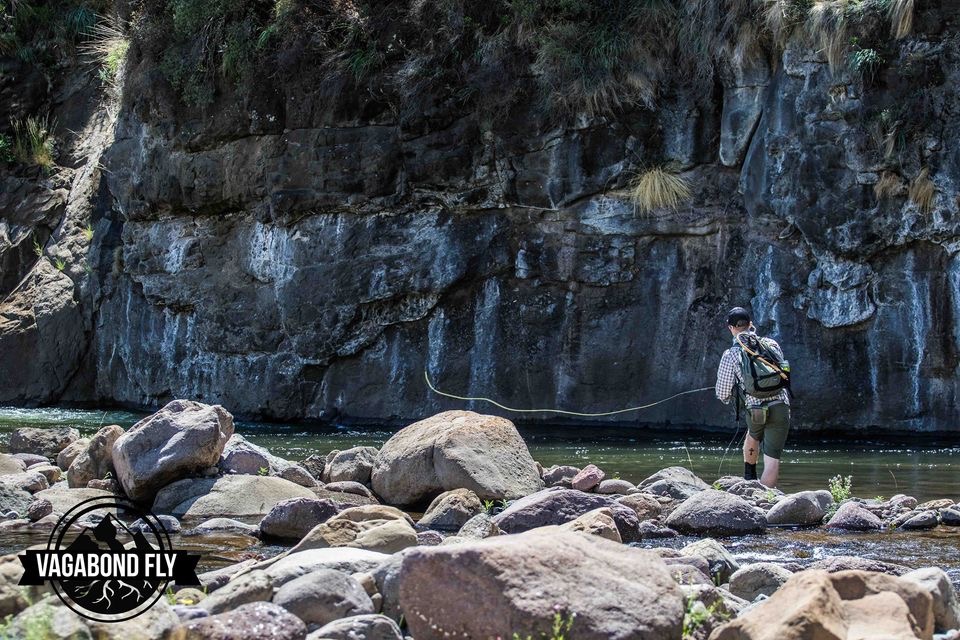 VagabondFly's tweet photo. The bubble line, the shadow line, the color line .. fish just love those seams. Stalk in &amp; wait, your fish will be there. 

#itonlycountsonfly https://t.co/VicjgCvxfC