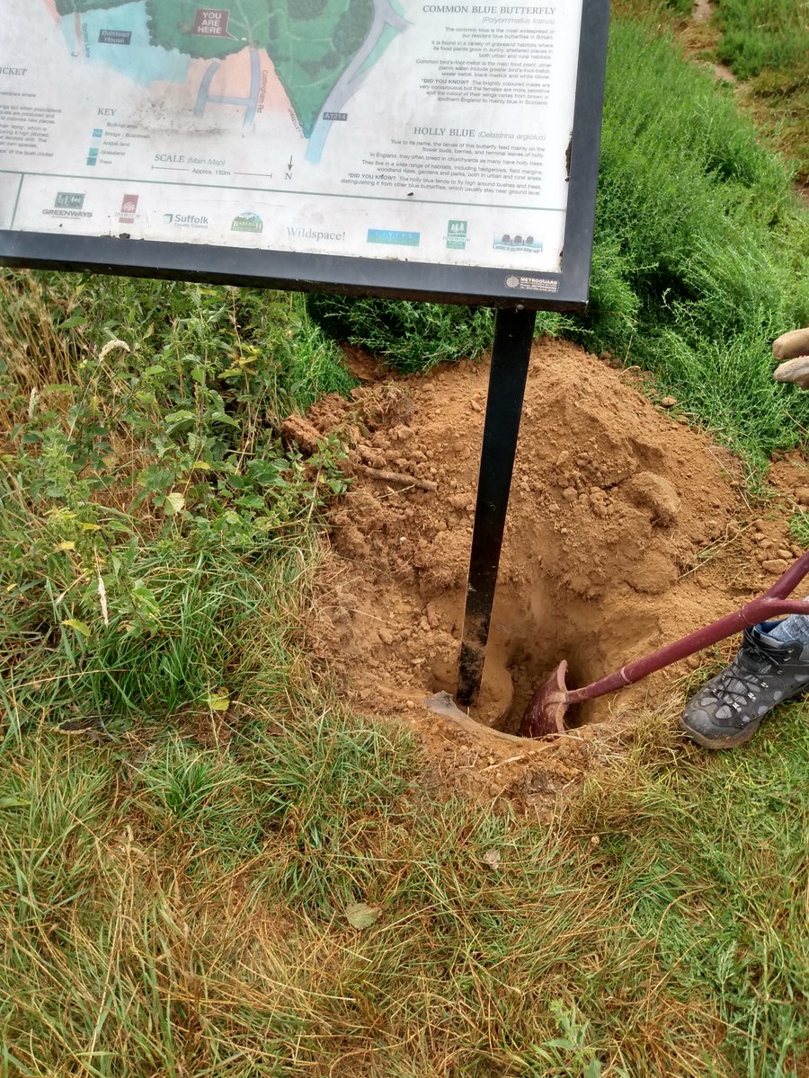 GreenwaysProj's tweet photo. What we hoped would be a straightforward task - relocating an information board in Belstead Brook Park - ended up needing the help of a JCB, as we put it in with quite a lot of concrete, years ago! @BaberghDistrict @WildIpswich #belsteadbrook #volunteers #volunteering #infoboard https://t.co/Ih792jKLFH