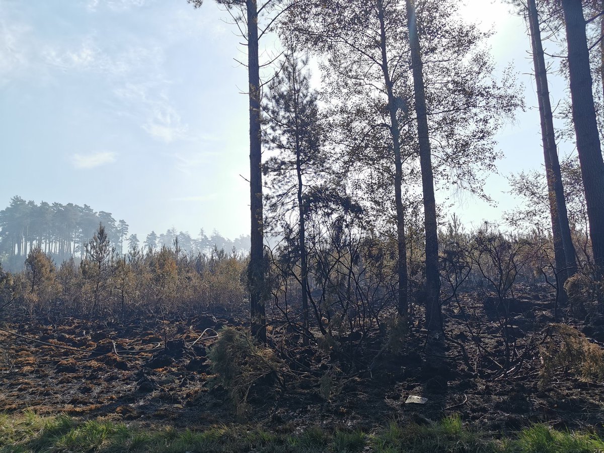 Tadley12's tweet photo. #Bellsdown 07:57 - relief crews for ongoing #Verwood incident. #wildfire #ForestFires https://t.co/v0sOAzQHAQ