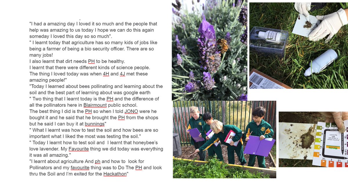 Year 4 students - 4 @ CoE scientists - technology - PH kits - pollinator kits- mapping water sources and vegetation classification . A day of Agricultural Science with @BlairmountPS  in our No Bees NoFuture program. <a href="/NSWEducation/">NSW Dept of Education</a>  #NoBeesNoFuture  #futurescientists <a href="/mccallumtp/">Tim McCallum</a>