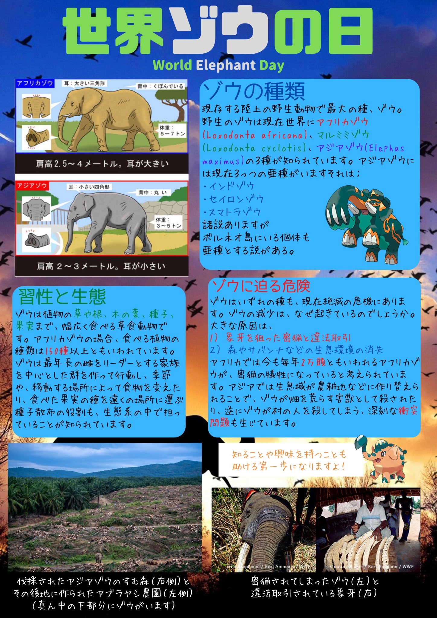 Twitter 上的 Akira 今日は 世界ゾウの日 Worldelephantday ということでまたポスター作りました ぜひ読んでいただければ嬉しいかな 3枚目と4枚目の写真 どっちがアフリカゾウでどっちがアジアゾウか分かりますか あとは色違いゾウドウとダイオウドウ配布し