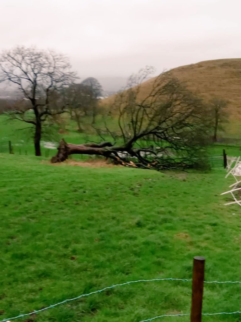 LIVE4CITY2's tweet photo. @MichaelJBooks @GreenfieldColl @JaneFallon I would enjoy picnicking with this Hamper on the moors above where I live.Looking down on the towns below and reflecting on what a unprecedented year the world has suffered https://t.co/m5ilHytiHk