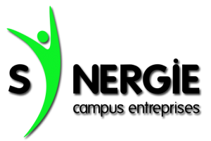 🔍 Qui est <a href="/SynergieCampus/">Synergie Campus</a> des trophées AGIRES SYNERGIE ?

Elle a pour vocation de favoriser les échanges avec l’#enseignementsupérieur, définir et promouvoir des positions ou actions communes

➡️ linkedin.com/company/synerg…