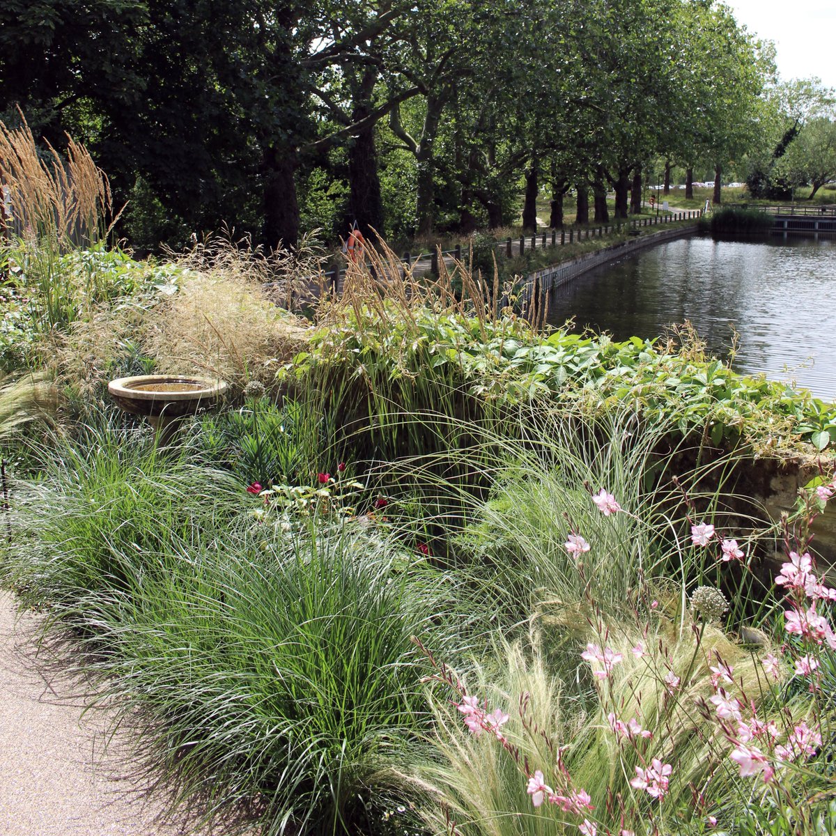 Alexandra Noble (@_alexandranoble) on Twitter photo Planting design for a garden with borrowed view over Hampstead Heath ponds. Plants supplied earlier in the year by <a href="/HortusLoci/">Hortus Loci</a> Planting design for a garden with borrowed view over Hampstead Heath ponds. Plants supplied earlier in the year by <a href="/HortusLoci/">Hortus Loci</a>