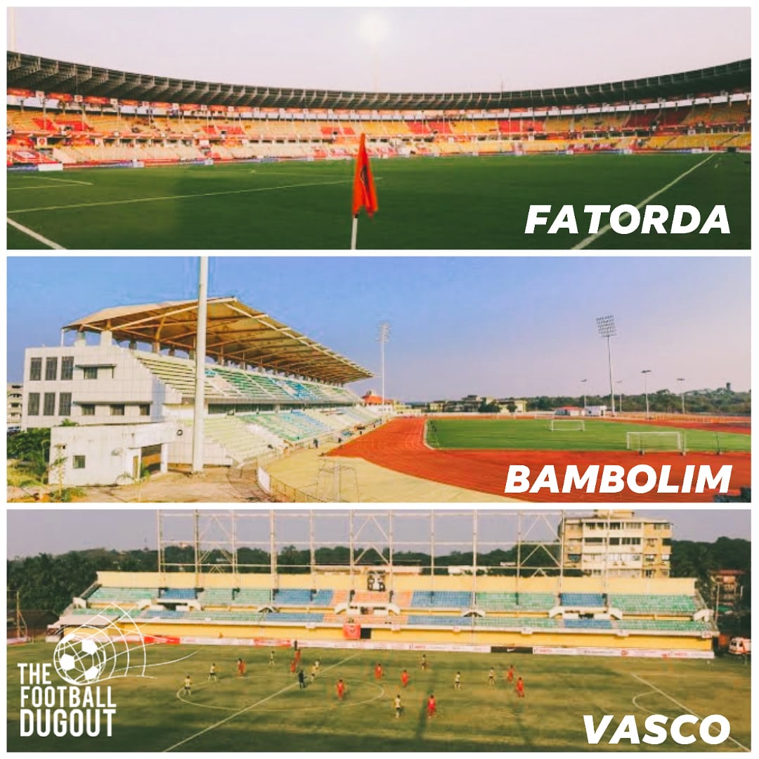 tfdogoa photo